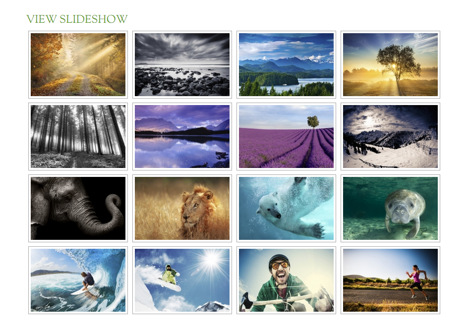 NextGen Gallery