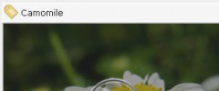 (a) Slideshow screenshot 1