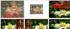 (a) Slideshow screenshot 2