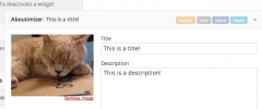 Aboutimizer screenshot 1
