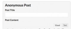 AccessPress Anonymous Post screenshot 4