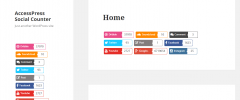 AccessPress Social Counter screenshot 1