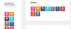 AccessPress Social Counter screenshot 2
