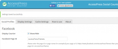 AccessPress Social Counter screenshot 3
