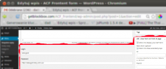 ACF Frontend display screenshot 2