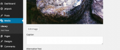 ACF Media Credit screenshot 1