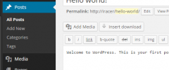 Add Widget After Content screenshot 3