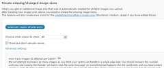 Additional image sizes (zui) screenshot 3
