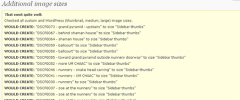 Additional image sizes (zui) screenshot 5