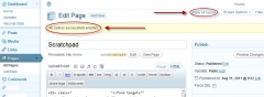 Admin Flush W3TC Cache screenshot 2