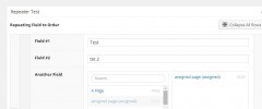 Advanced Custom Fields Repeater & Flexible Content Fields Collapser screenshot 1