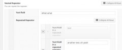 Advanced Custom Fields Repeater & Flexible Content Fields Collapser screenshot 6