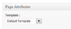 Advanced Page Manager screenshot 2