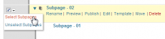 Advanced Page Manager screenshot 4