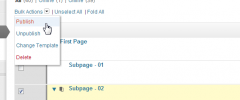 Advanced Page Manager screenshot 7