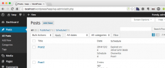 Advanced Schedule Posts screenshot 3