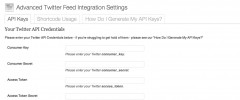 Advanced Twitter Feed Integration screenshot 1