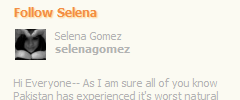Advanced Twitter Profile Widget screenshot 2