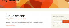 Aksh Mailchimp Widget screenshot 3