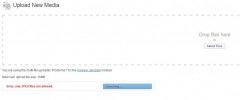 Allow Only Jpegs screenshot 1