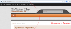 Alphabetic Pagination screenshot 8