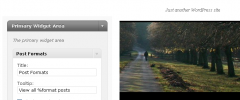 Ambrosite Post Formats Widget screenshot 1