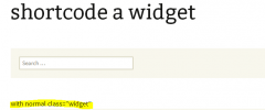 amr shortcode any widget screenshot 4