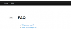 Apiki WP FAQ screenshot 4