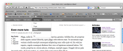 Article Type screenshot 2