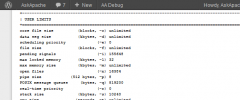 AskApache Debug Viewer screenshot 5