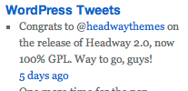 Authenticated Twitter Widget screenshot 2