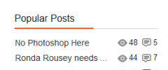 Author and Post Statistic Widgets screenshot 3