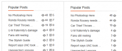 Author and Post Statistic Widgets screenshot 5