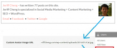 Author Box After Posts screenshot 3