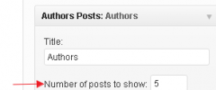 Authors Posts Widget screenshot 3
