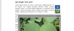 Auto Post Images (API) screenshot 5