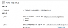 Auto Tag Slug screenshot 2