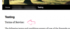 Auto Terms of Service and Privacy Policy screenshot 4