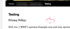 Auto Terms of Service and Privacy Policy screenshot 6