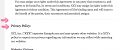 Auto Terms of Service and Privacy Policy screenshot 9