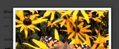 Auto ThickBox Plus screenshot 1