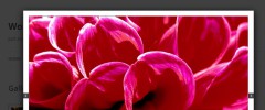 Auto ThickBox Plus screenshot 2