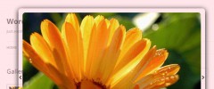 Auto ThickBox Plus screenshot 4