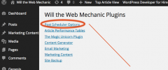 Automatic Post Publishing Scheduler screenshot 1