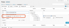 Automatic Post Publishing Scheduler screenshot 7