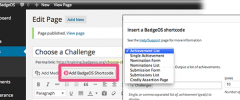 BadgeOS screenshot 9