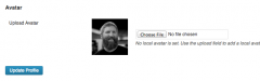 Basic User Avatars screenshot 1