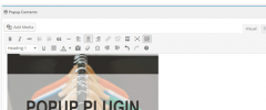 BBS e-Popup screenshot 3