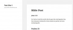 Bible Embed screenshot 3