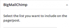 Big MailChimp screenshot 2